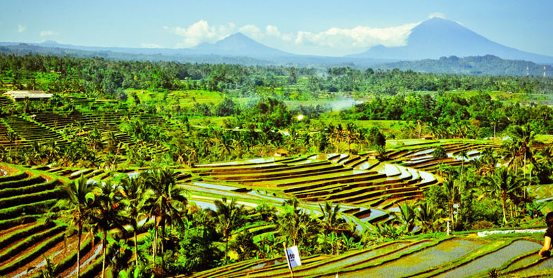 Bali Tour Packages 7 Days and 6 Nights