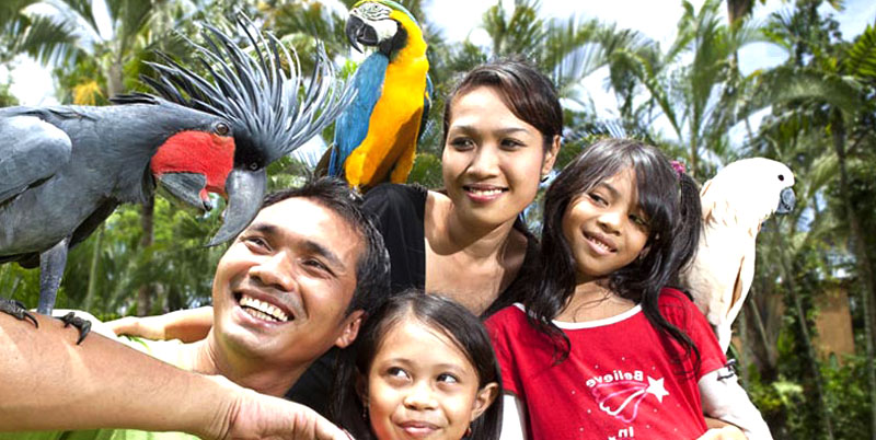 Bali Bird Park