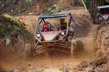 Bali Buggy and Elephant Ride Packages