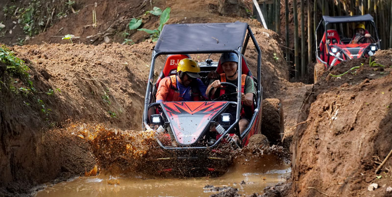 Bali Buggy and Safari Park Packages