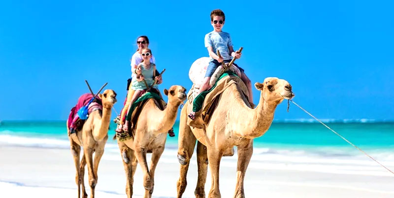 Bali Camel Safaris