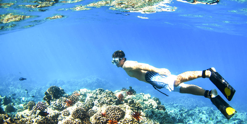 Blue Lagoon Snorkeling