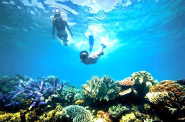 Blue Lagoon Snorkeling